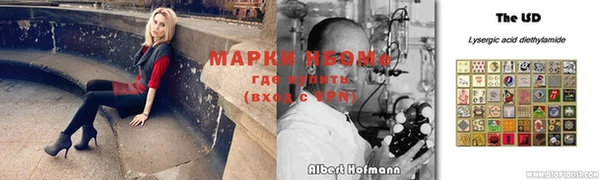 кокс Баксан