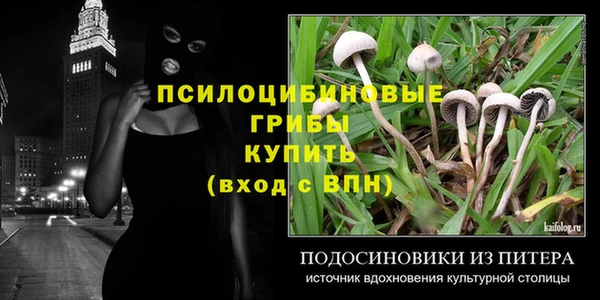 кокс Баксан